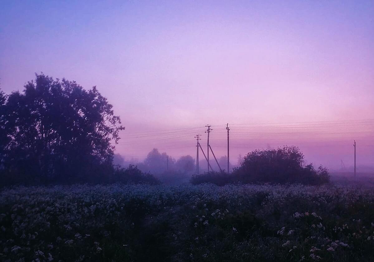 AL次局集锦：纳亚菲利团战游龙完美发挥，AL强势扳回一城